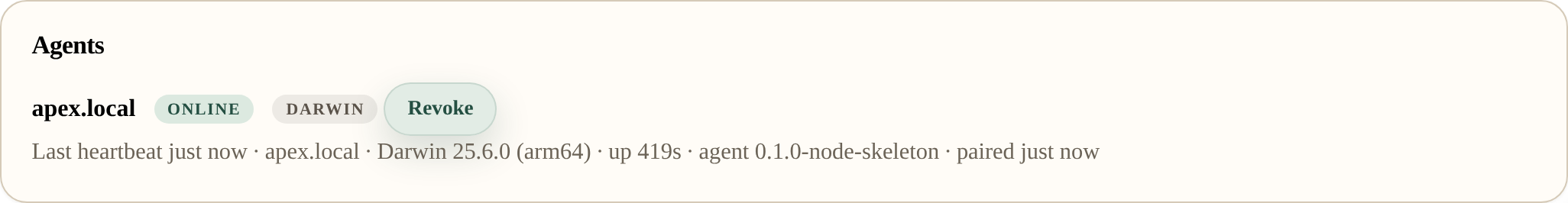 A connected agent showing an ONLINE label, the machine name, and the time of the last heartbeat